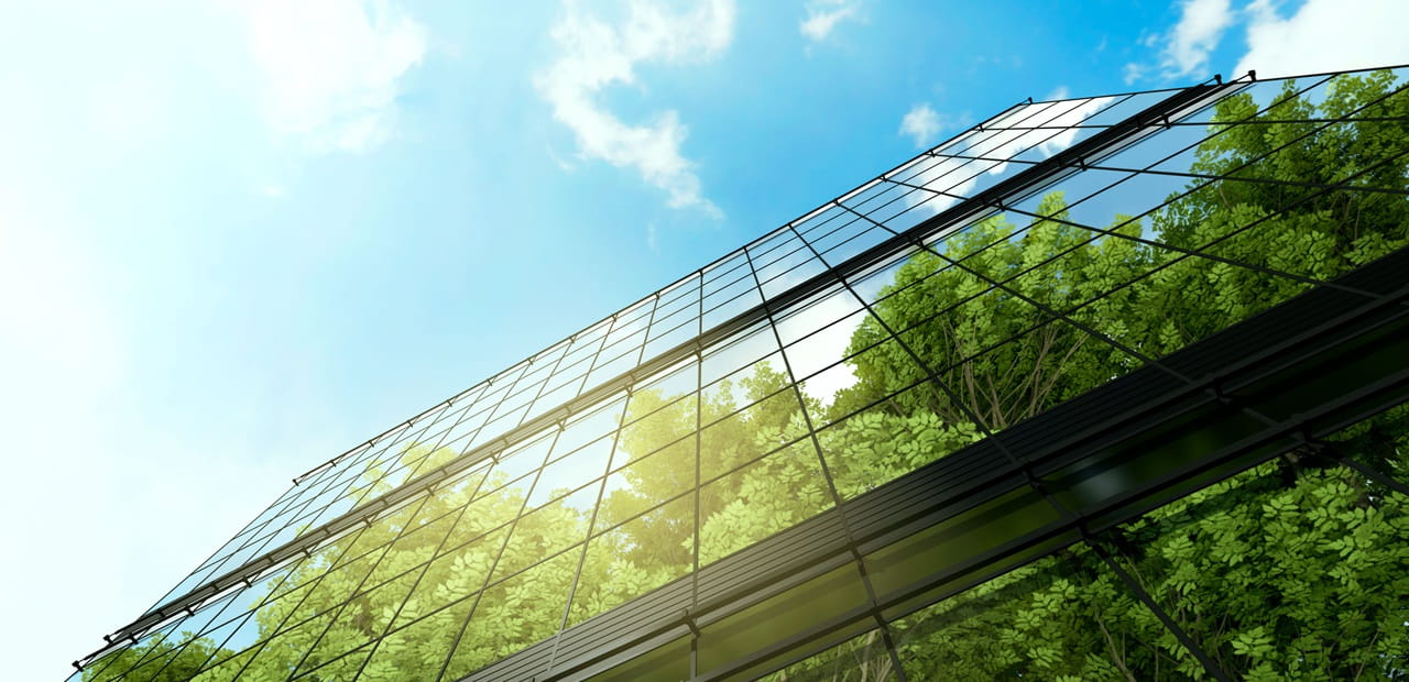 View of the reflection of trees on the side of a glass building.
