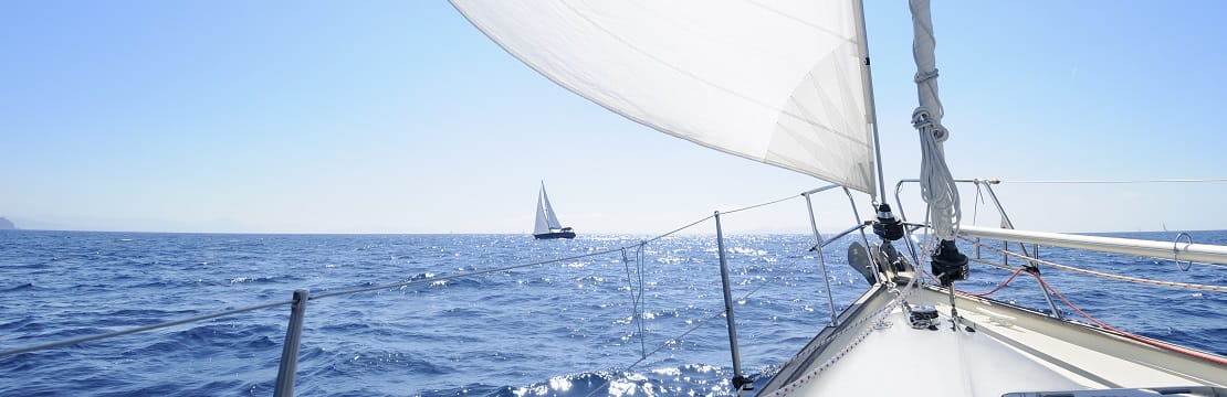 Sailing into unknown seas for 2024